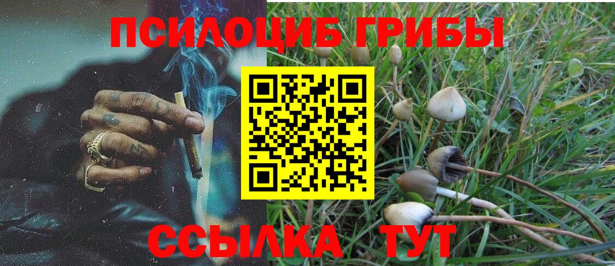 Псилоцибиновые грибы MAGIC MUSHROOMS Жуковский