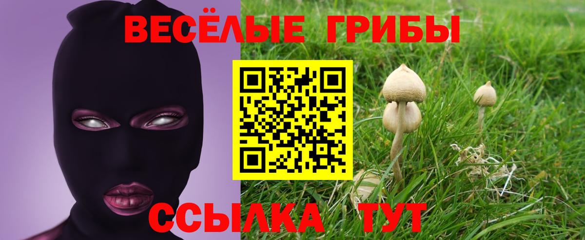 Жуковский  Галлюциногенные грибы GOLDEN TEACHER  Псилоцибиновые грибы мухоморы  Вход с VPN 